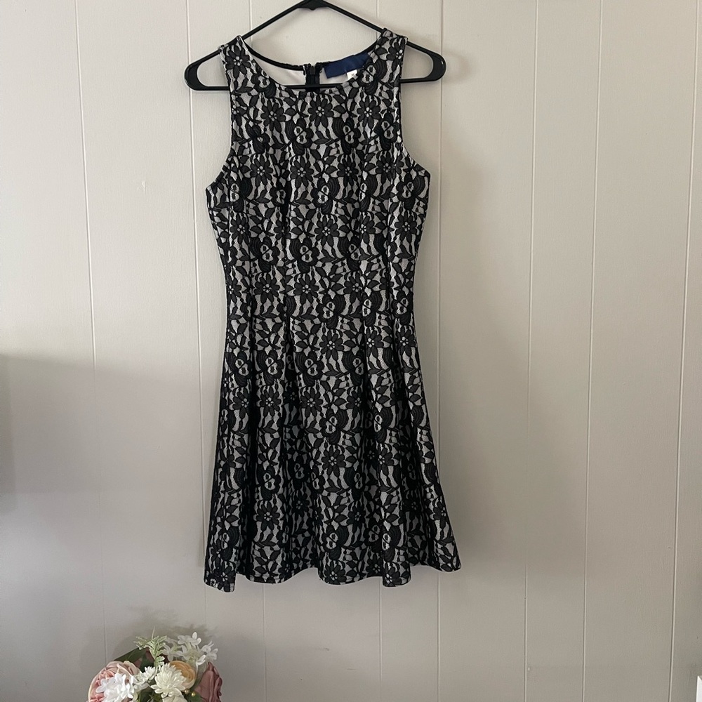 Lace Skater Dress